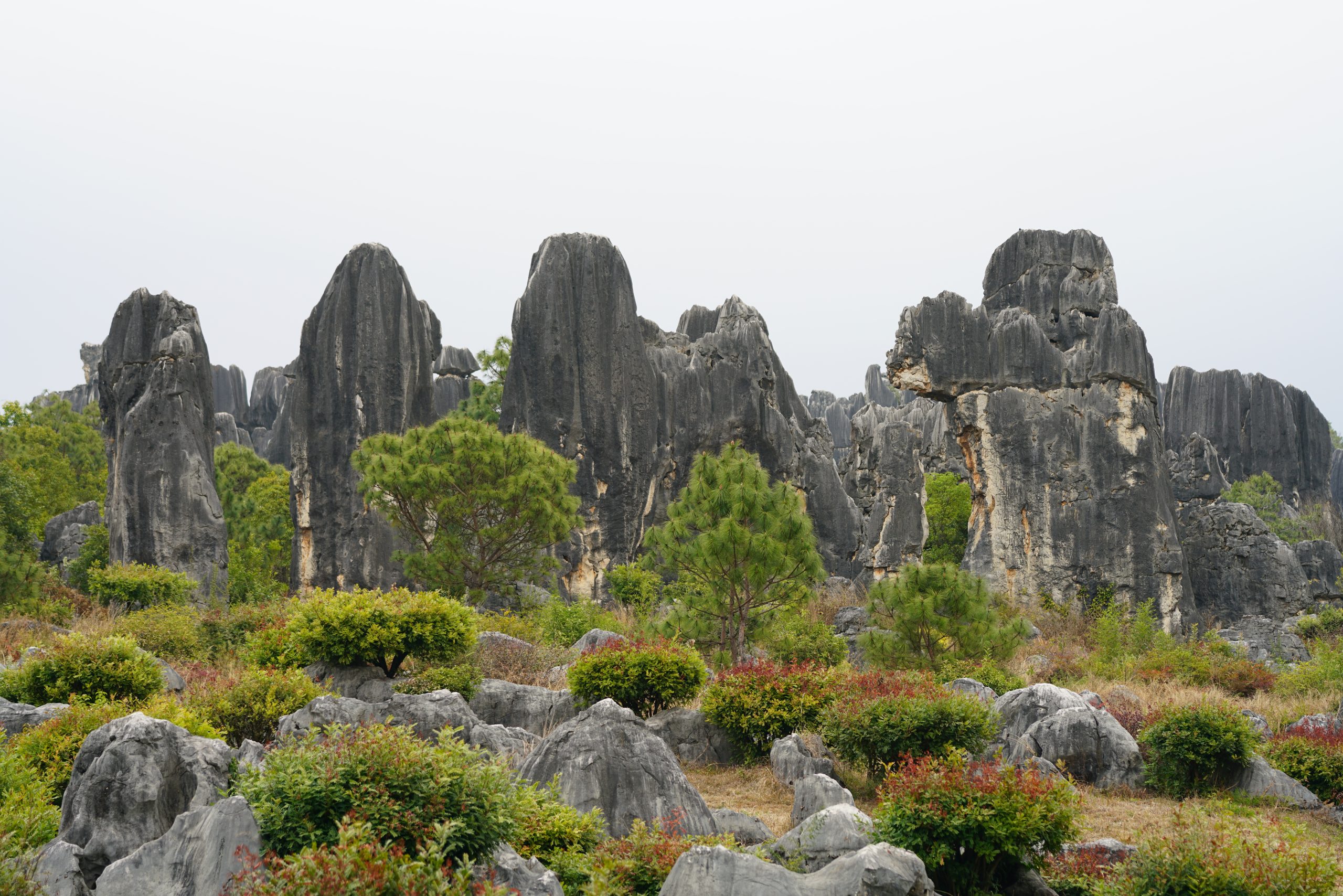 昆明游·石林风景区